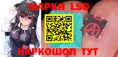 винт Шелехов