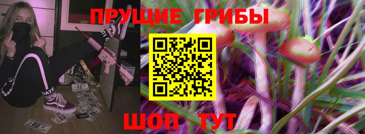 Псилоцибиновые грибы прущие грибы Аргун